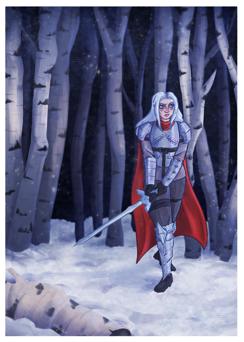 The Winter Knight